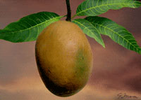 pintura hiperrealista